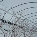 안줄농장 이미지