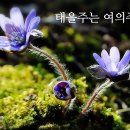 금광2차 이미지