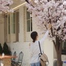 라탄위빙 | 분크 가방 보터 위빙 백팩 vunque 라탄백 코디