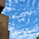 대산 태권도장 이미지