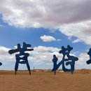 초원 티스토리
