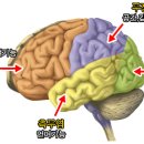 ADHD 이해하기 이미지