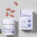 버닝썬 | 쎈드림 나이트 버닝업,3가지 핵심 효과 분석