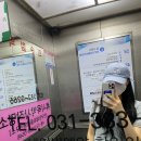 엠엘비(MLB)남원점 | 이미스 티셔츠, 이미스 모자, 이미스 가방, 이미스 머리띠 내돈내산 후기