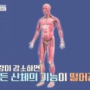 디클리셰 이미지