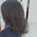 유성관 | 대전 손상모 볼륨매직 올라잇헤어 대전유성관평점 세연 원장님 진짜 최고