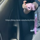 (주)칸렌트카 이미지