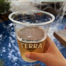 솔내음 백숙 이미지