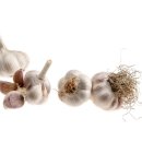 서산팜스 이미지