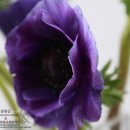 플로리스트 초급 이미지