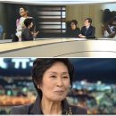 깍쟁이 일간스포츠