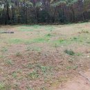 창원 가음정동 고분군 이미지