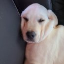 멍뜰리에 이미지