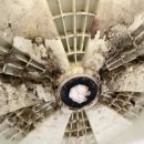 센트럴파크리움 | 파주 운정 야당역 센트럴파크리움 오피스텔 삼성 빌트인 세탁기 분해청소 과정을 소개합니다.