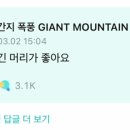 마지 이미지