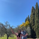 평화주유소 | 여행 / 피렌체 1일차 막시무스의 집, 이탈리아 주유소, 피렌체 티본스테이크 맛집 Ristorante dei Rossi...