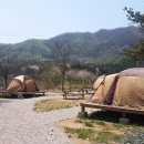 강림면342 이미지