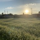 장전리경로당 이미지