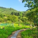 장세영농장 이미지