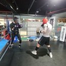 골든보이복싱체육관 이미지