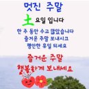 옥샘가수님 또바기님들 좋은아침이에요 오늘도 날씨 더워요 더위 건강 조심하시고 즐거운 주말 토요일 보내세요 화이팅해요 이미지