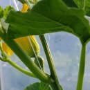 충청농장 이미지