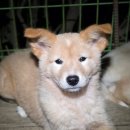 뷰티 2세들 이미지