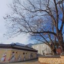 죽동마을회관앞 이미지