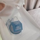 크린앤청 | 240812 울산 섬머 페스티벌 후기