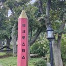 애견# | 인천 애견동반 카페 마크로스터스 후기