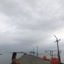 테슬라 전국 슈퍼차저로 무료 여행(일산, 당진, 군산, 논산, 천안,변산반도, 짚라인, 복성루)