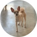 라임호텔 이미지