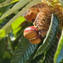 이평농장 이미지