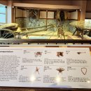 온양민속박물관 이미지