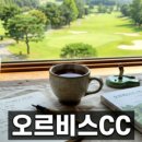 제니아편의점 | 실패 없는 나트랑호텔 선택 가이드