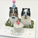 하이펫스쿨 협동조합 | 펫푸드 창업, 펫푸드 자격증은 애견 사업 19년 전문가에게 제대로 배우자!(하이펫스쿨 8월 개강일정)