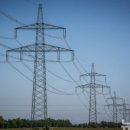 컬처바이오 이미지