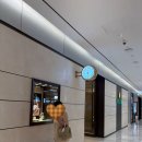 저스트PC방 | [Rolex] 롤렉스 데이저스트 41 검판 옐로우골드 콤비 텐포인트 성골후기🐯