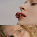 웨이브헤어(WAVE hair)
