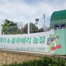 두리농원 - 안성시 장기2길 161 | 김포 아이와 가볼만한곳 두리체리베리농원, 아이와 블루베리따기 체험 학습 추천