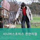 동남구요양원,봉명동요양원 시니어스초이스 천안지점 시설과 서비스에 대한 솔직한 후기