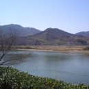 흐르는 강물을 바라 이미지