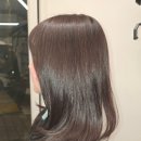 시프헤어 이미지