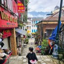 구난이약나무마을 | 사파 여행 라오차이 타반 마을 트레킹 약 13km