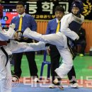 정선태권도체육관 이미지