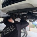 티엠모터스 이미지