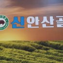 신안산골