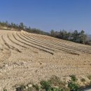 황산면 옥동리 ~ 황산면 옥동리 이미지