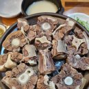 원조꼬리곰집 티스토리