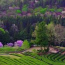 반월동017 이미지